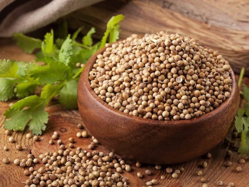 Coriander