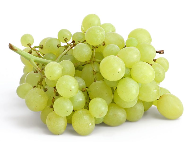 Table_grapes_on_white-1536x1024